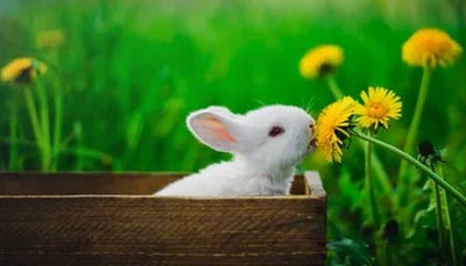 爱游戏大厅-球坛秘传古法复活记：当防守反击撕碎控球神话