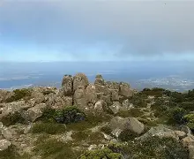 爱游戏大厅-威灵顿队抗衡普利茅斯，坚守阵地
