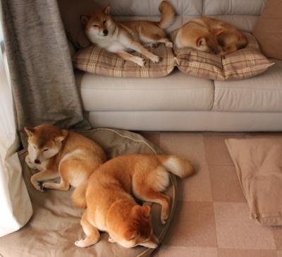 爱游戏入口-保罗奥运关键战封神夜，满分表现背后的坚韧与智慧