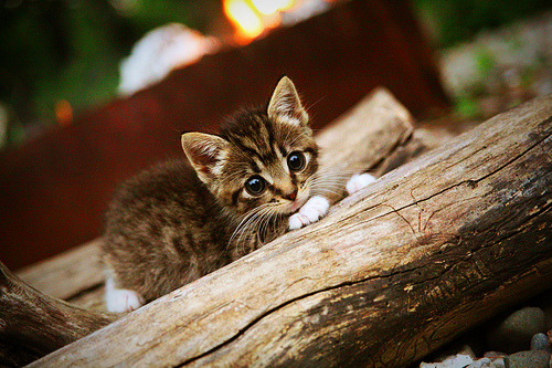 爱游戏官网-NBA季后赛之夜的足球灵魂，孙兴慜攻防两端的统治艺术