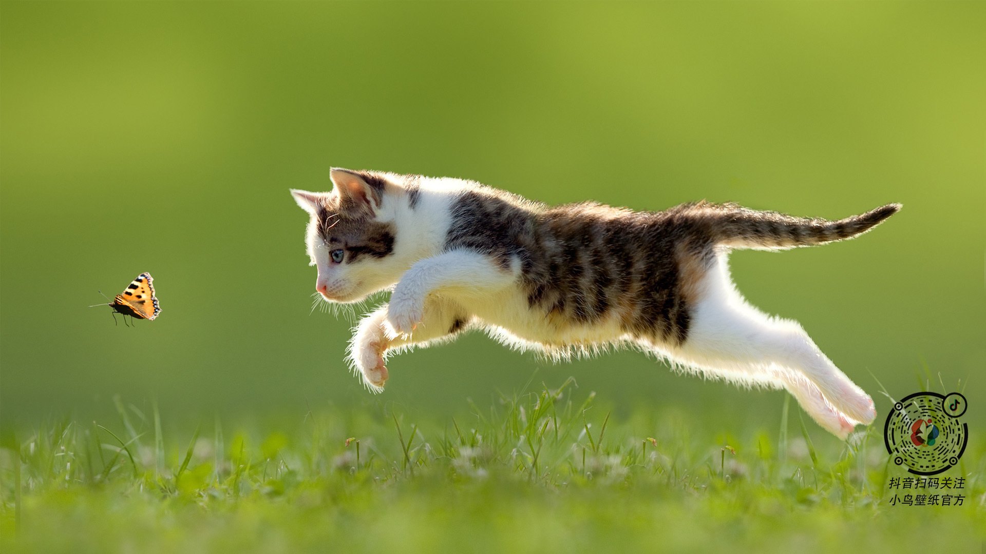 爱游戏官方-控卫之神降临东决！保罗关键战诠释何为绝对统治