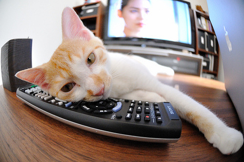 爱游戏大厅-防守的壁垒与进攻的烈焰，独行侠锁死国王，哈利伯顿欧冠决赛主宰赛场