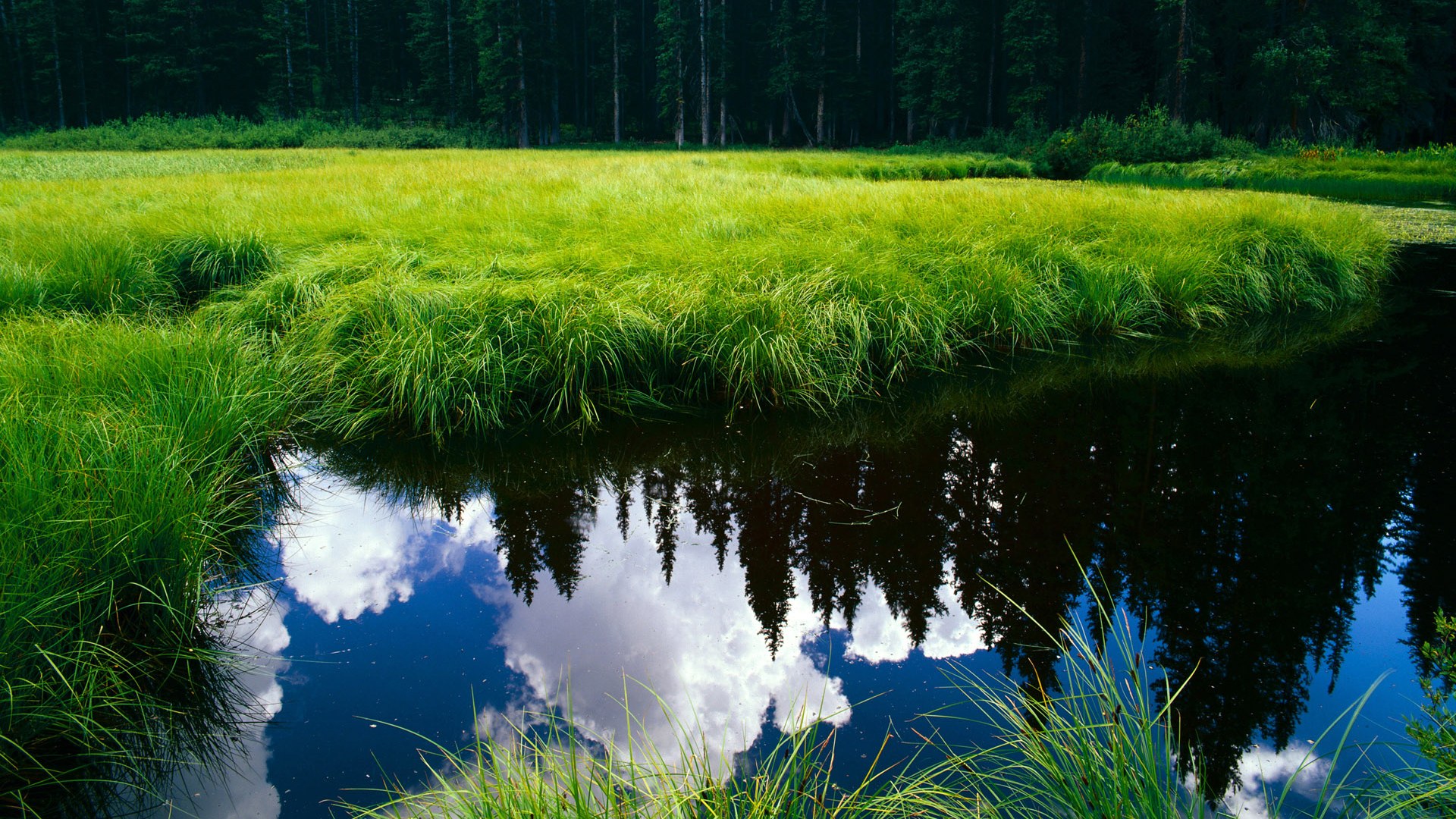 双星闪耀，当塔图姆的坚守遇见爱德华兹的狂飙，体育之夜见证王权更迭