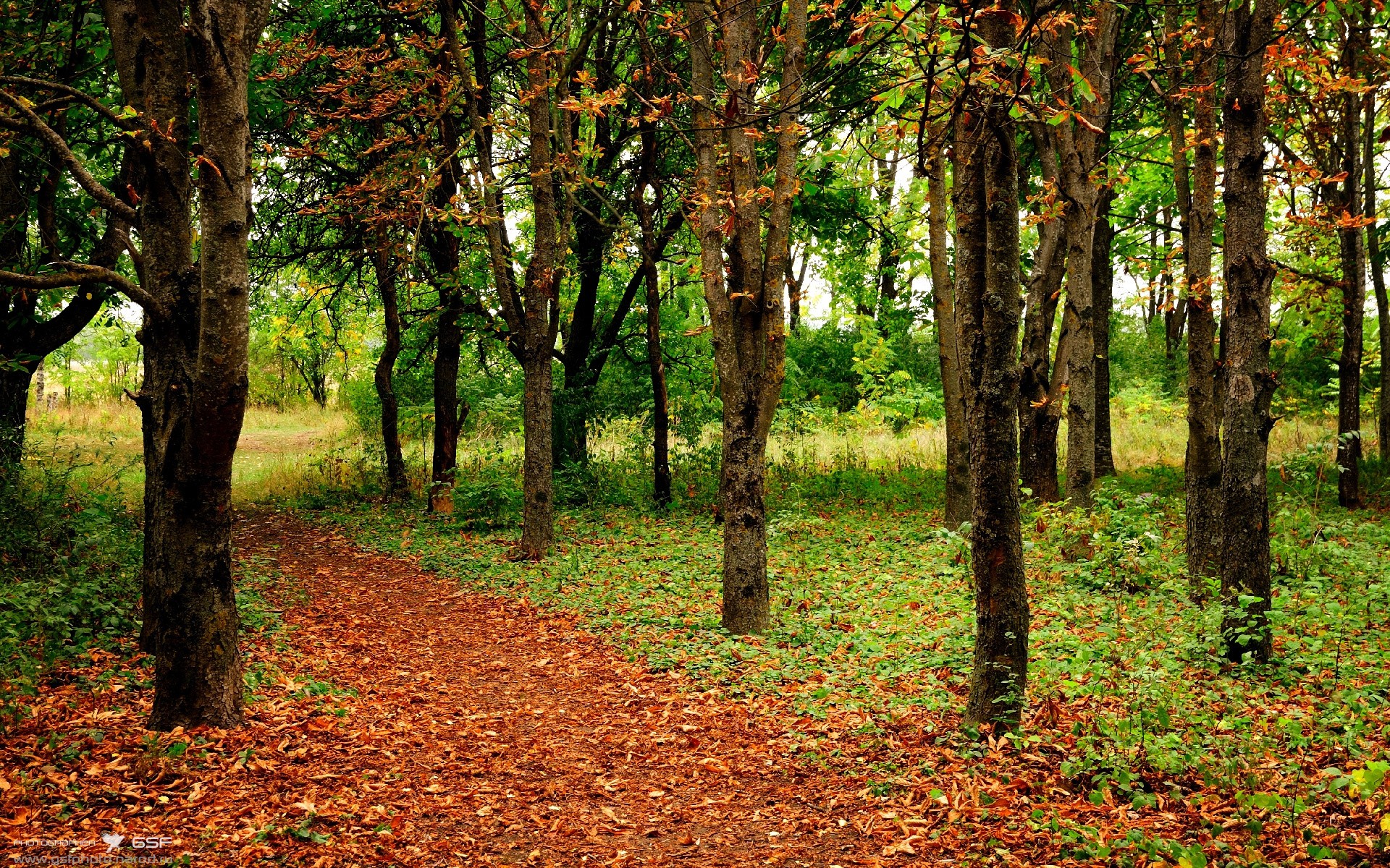 爱游戏APP-开拓者双加时鏖战擒猛龙，关键先生乔治一剑封喉定乾坤