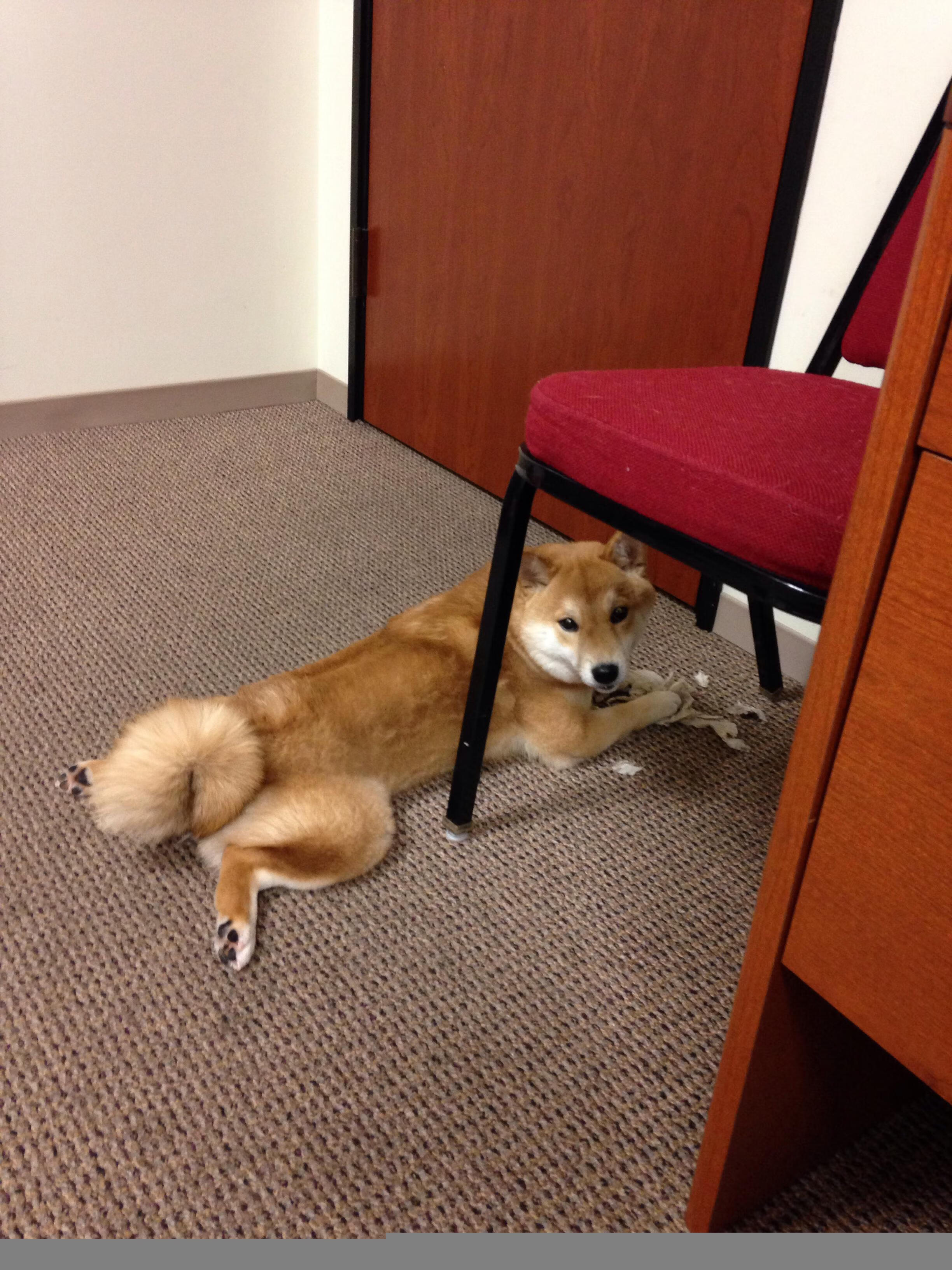 绝杀与传奇，南非加时鏖战力克冰岛，阿坎吉创历史新纪录