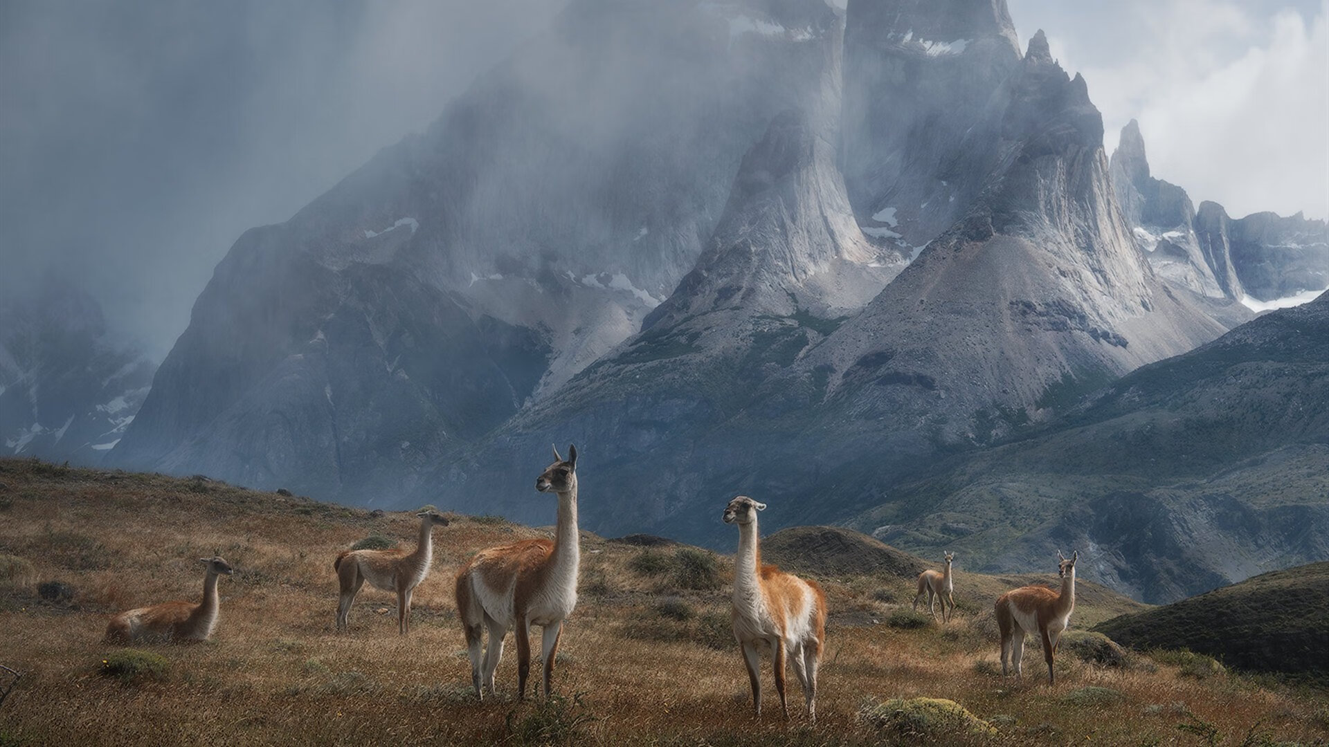 一人镇山河，楚阿梅尼定义国家德比新秩序